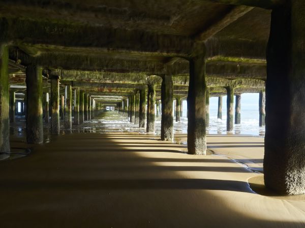 Cost of Pier And Beam Leveling in Raleigh